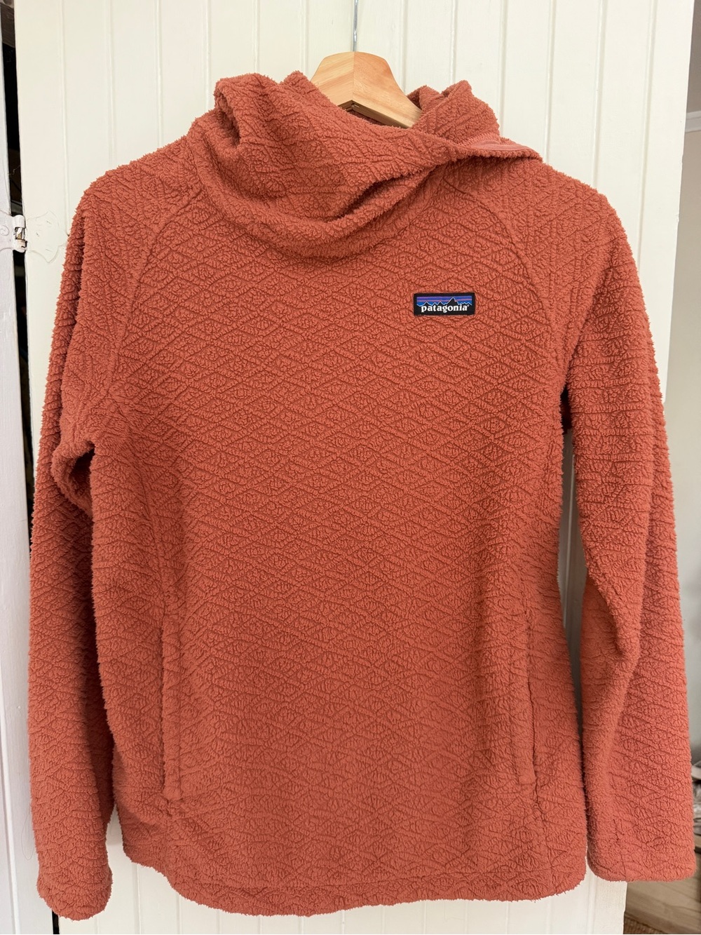 Patagonia Women's Diamond Capra Hoody - S